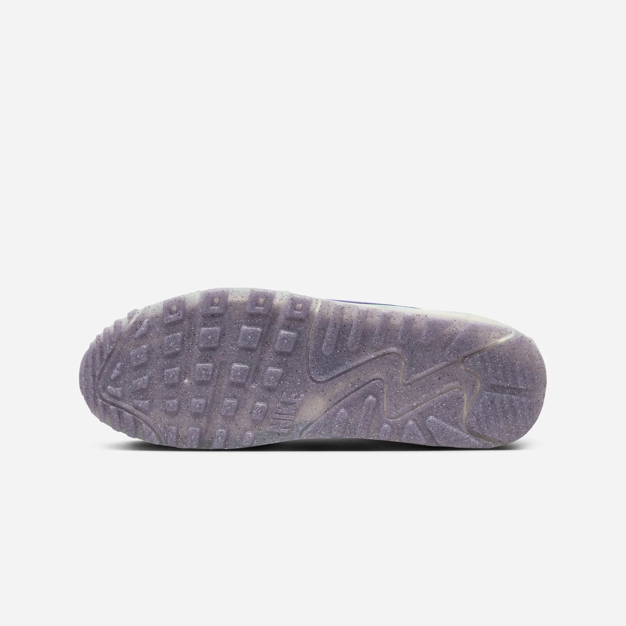 Nike | AIR MAX TERRASCAPE 90  { PHANTOM/ACTION GRAPE-LIGHT BONE