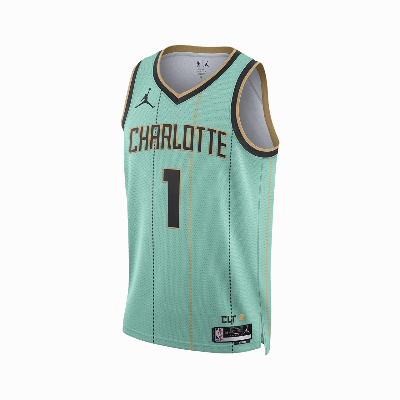 Nike Dri-FIT NBA 2024/25 City Edition Swingman Jersey - LaMelo Ball Charlotte Hornets