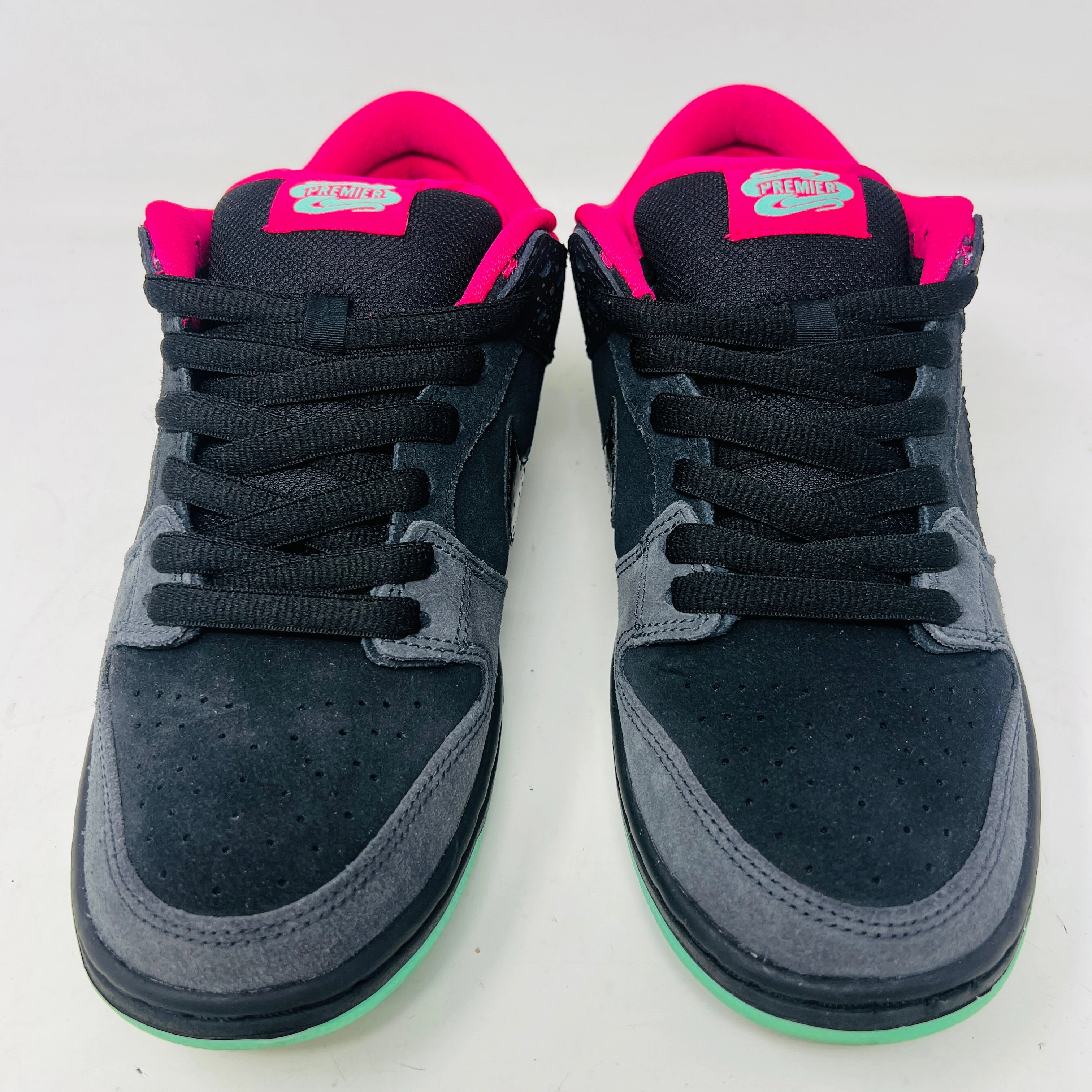 Nike SB Dunk Low Premier Northern Lights