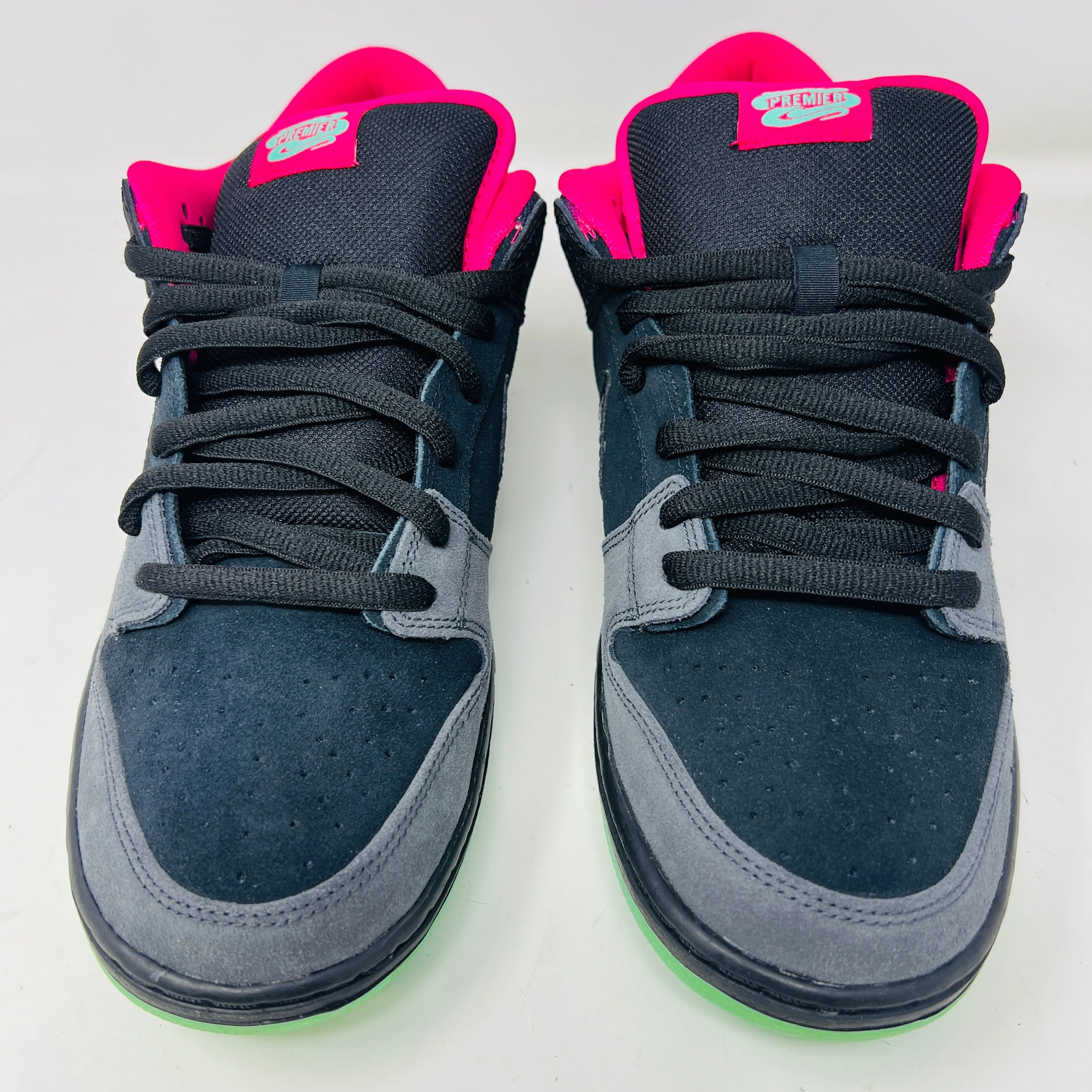 Nike SB Dunk Low Premier Northern Lights